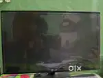 Monitor compatible with both pc and tv