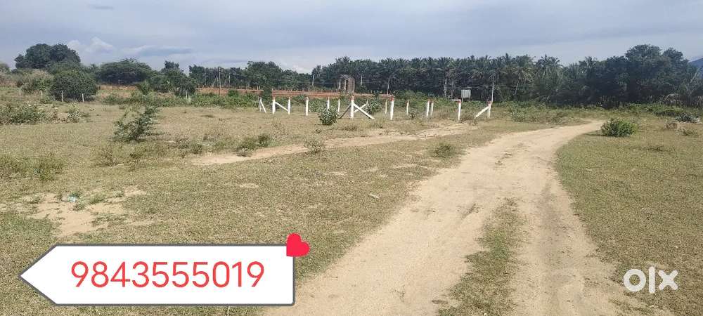 thondamuthur to 5 km selambanur 5 cent per cent 2.85 lakhs