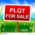 Plot in Prime location Srihari nagar.