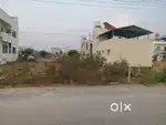 Adarsha layout sominakoppa road shimoga