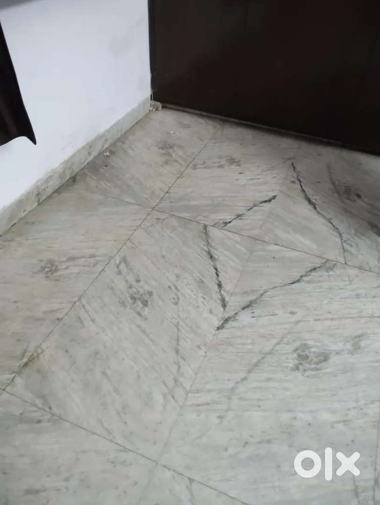 Required Female Roommate.