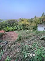 House Plot For Sale!
