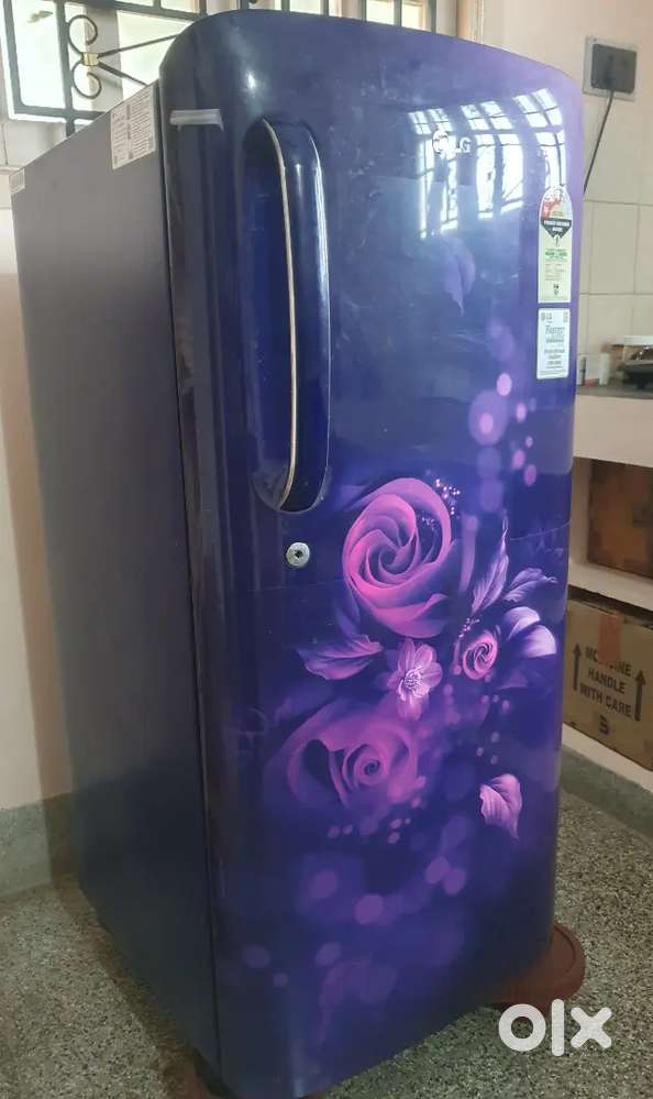 LG Fridge 190 Litres - Purchased Oct 2022