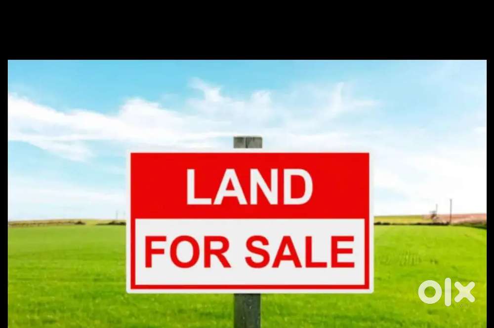 Urgent sale , maydi patta mati,