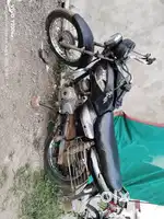 Arjent sell