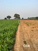 Chaudhary krashi farm