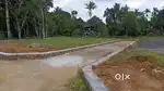 4,5,6,8, 10 cent plots available angamaly Pulyanam