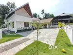 20 സെൻ്റിൽ തൊടുപുഴ മുവാറ്റുപുഴ റോഡിൽ ആവോലി