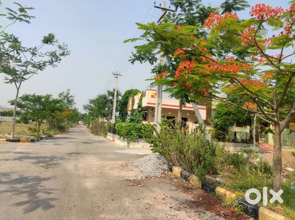 Open plots available for Investment purpose