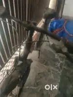 Adway cycle 6 month old cycle with good condition