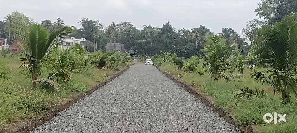 അങ്കമാലി അപ്പോളൊ ഹോസ്പ്പിറ്റിലിന് മുൻവശം 4 സെൻ്റ് മുതൽ പ്ലോട്ടുകൾ