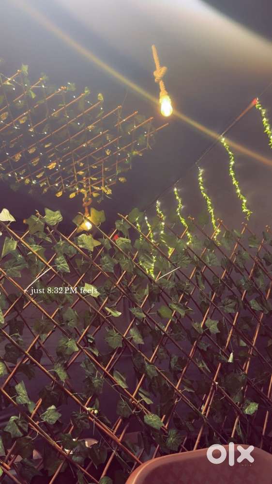 required a waiter for newley open hotel