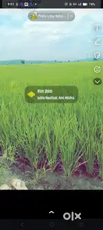 Full water supply, agriculture land near Mahadev pani