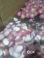 2 hours  morning 7 to 10 Cutting chopping ke liye
