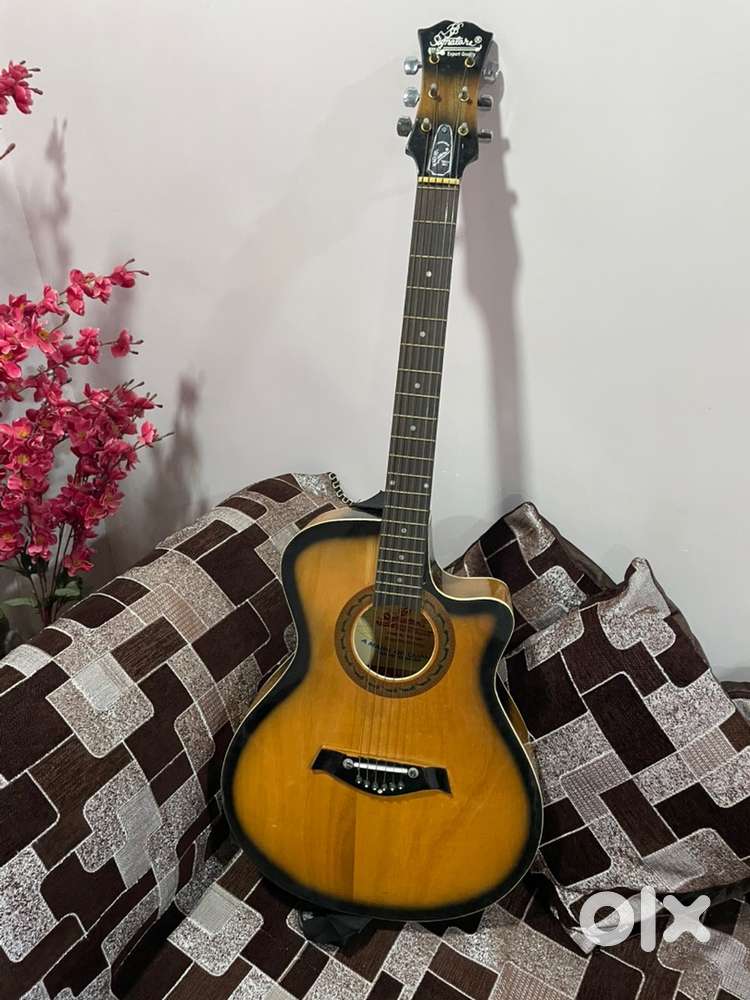 Guitar  Signature Acoustic Guitar  (excellent condition)