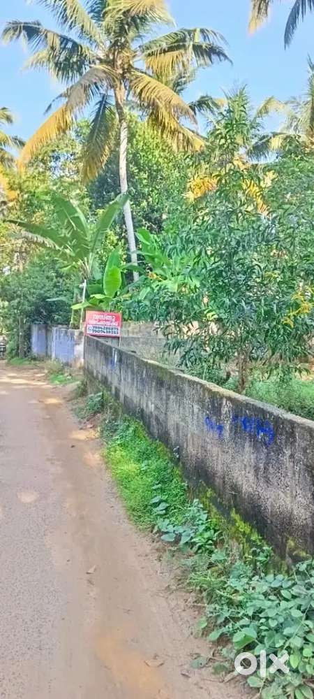 Plot for sale in vizhinjam pozhiyoor