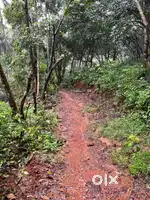 49 Cent Plot for sale at Chathamangalam