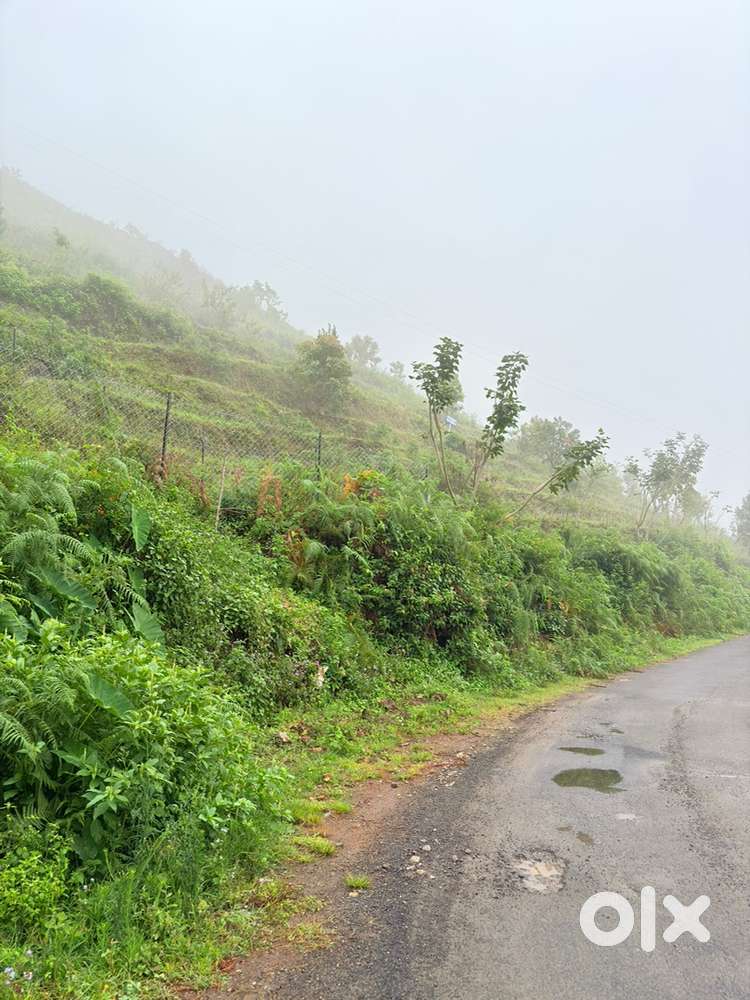 Land for sale in vilpatti kodaikanal covers 180 degree views