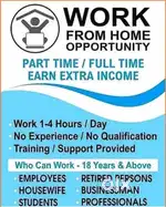 Full  time job /Part time job