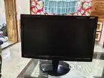 Acer moniter