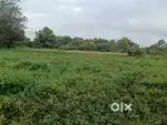 ചാലക്കുടി അന്നനാട് 4acr, 60സെന്റ് സ്ഥലം വില്പനക്ക്