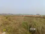 1 acre land for sale in Bajpur, Khorda,