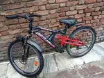 Avon gutts cycle