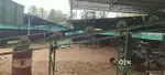 Clay bricks making machine for wirecut