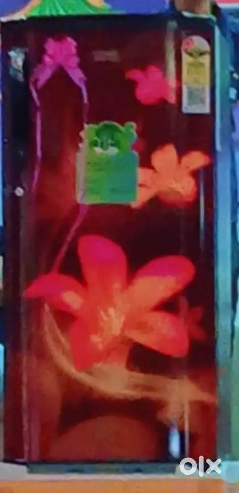 New fridge abhi open nahi hua hai 16000 ka hai