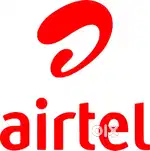 Sales executive