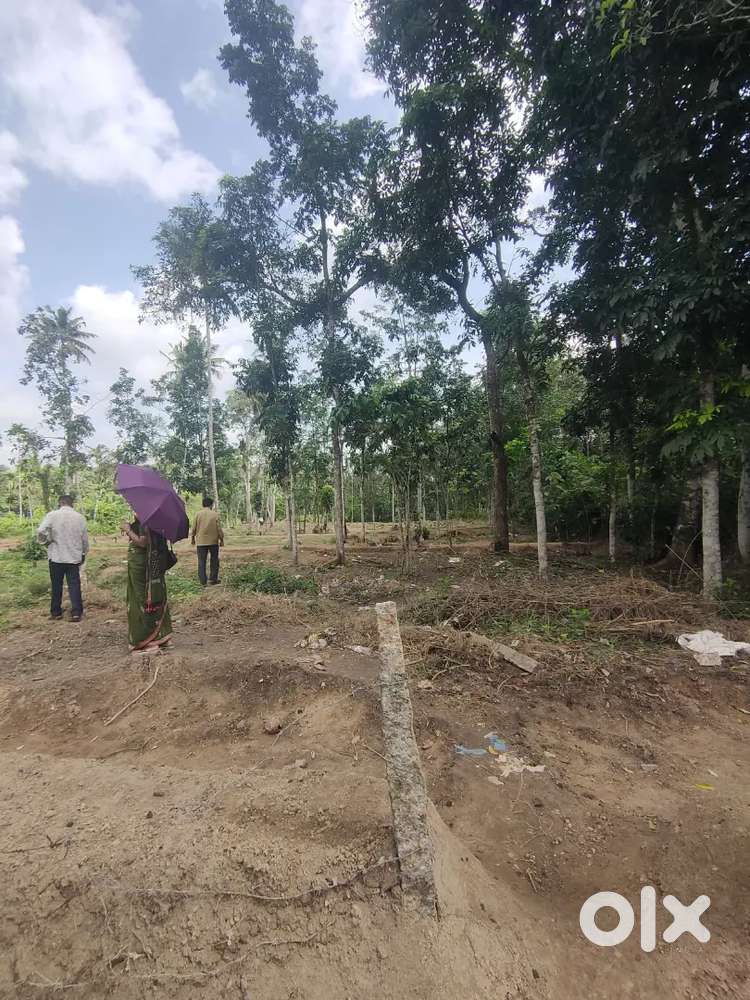 2 Acres of Land for sale in Pullayil Kilimanoor 2 KM from MC ROAD