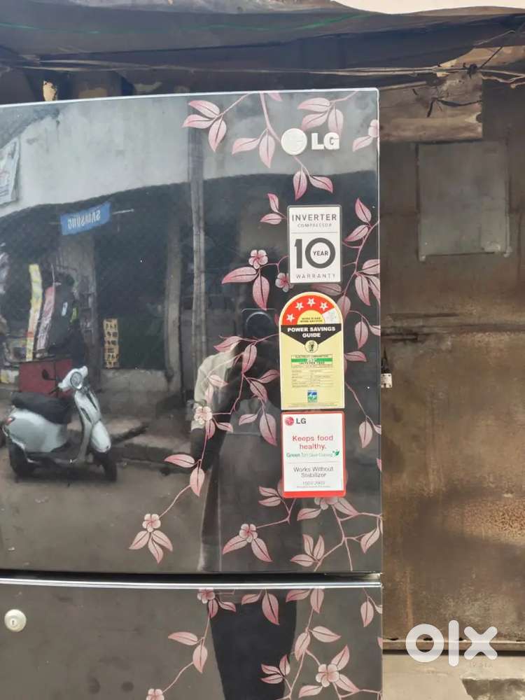 LG 3star inverter model