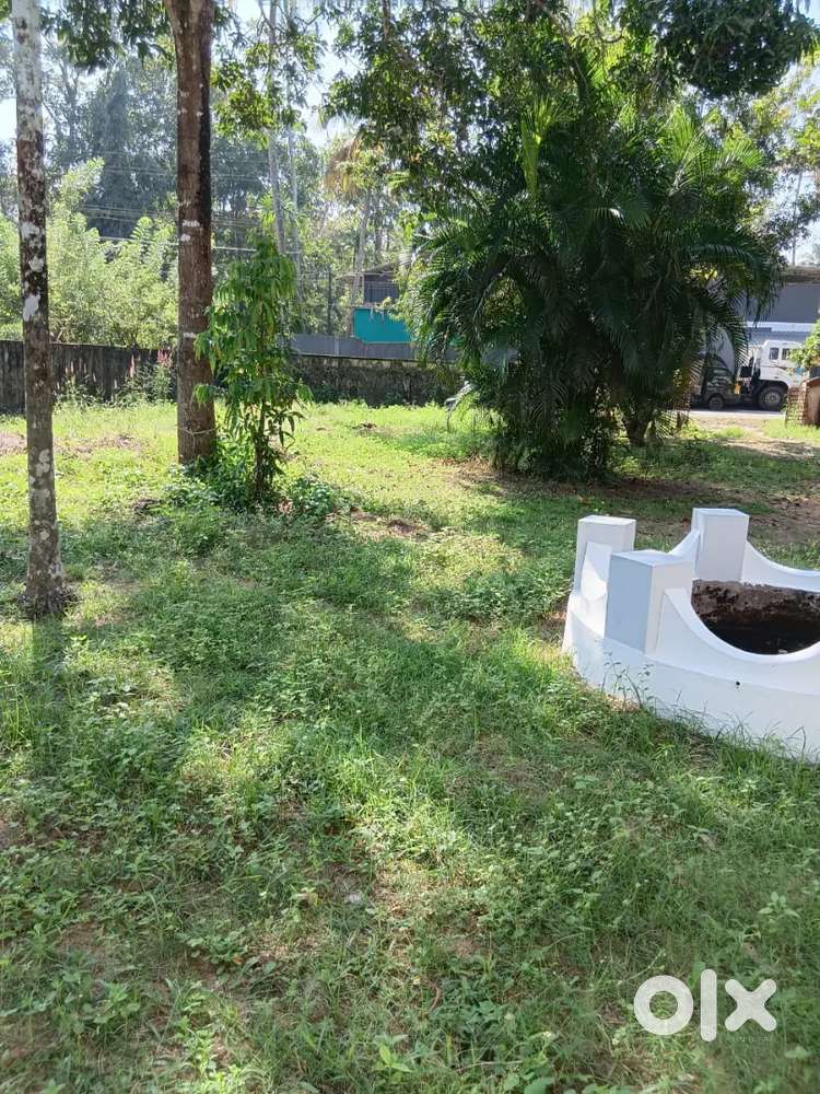 Main road frontage plain land next to Eriyad market for rent/lease