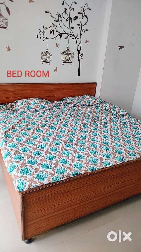 2 BHK FURNISHED FLAT (Gaur City -2) Palm Olympia
