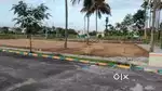 Assest square