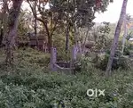10 cent sreekariyam njandoorkonam