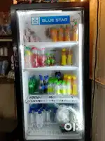 Blue Star Comercial Fridge