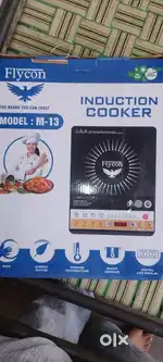 Electric induction