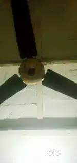 Ceiling fan