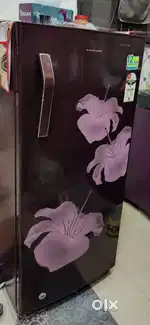 Fridge on sale