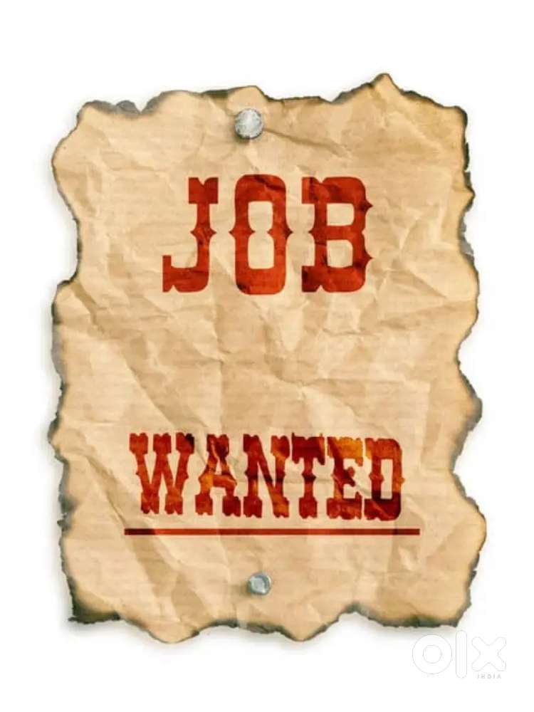 PERMANENT JOB ROLE- Office Admin,Team Leader,,BPO-voice,Non voice,etc