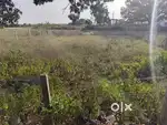 22 marala plot on road