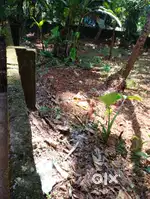 COMMERCIAL LAND FOR SALE KUNNAMANGALAM KOZHIKODE