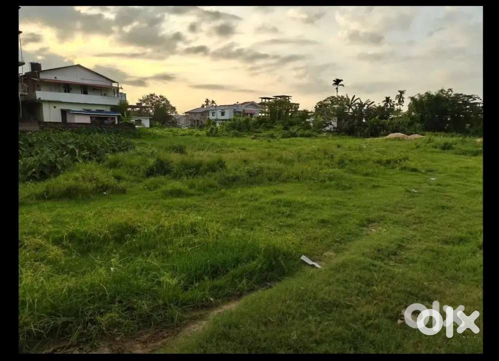 1 kotha 5 lesa Land for sale in Rupali Nagar(Jorhat medical college)