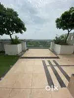 In sun city saddu Avinash group ka project 1550 feat ka plot bechna.