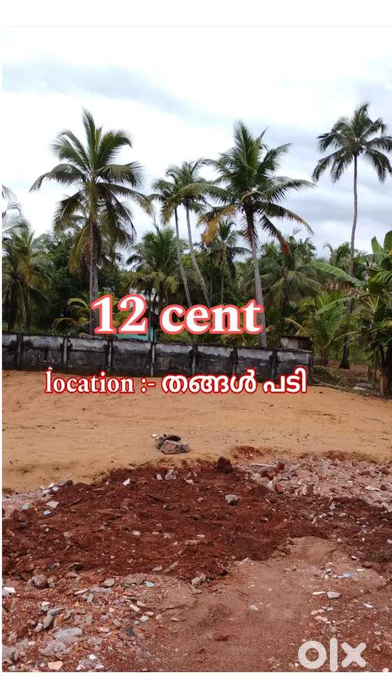 12 cent plot villa purpose