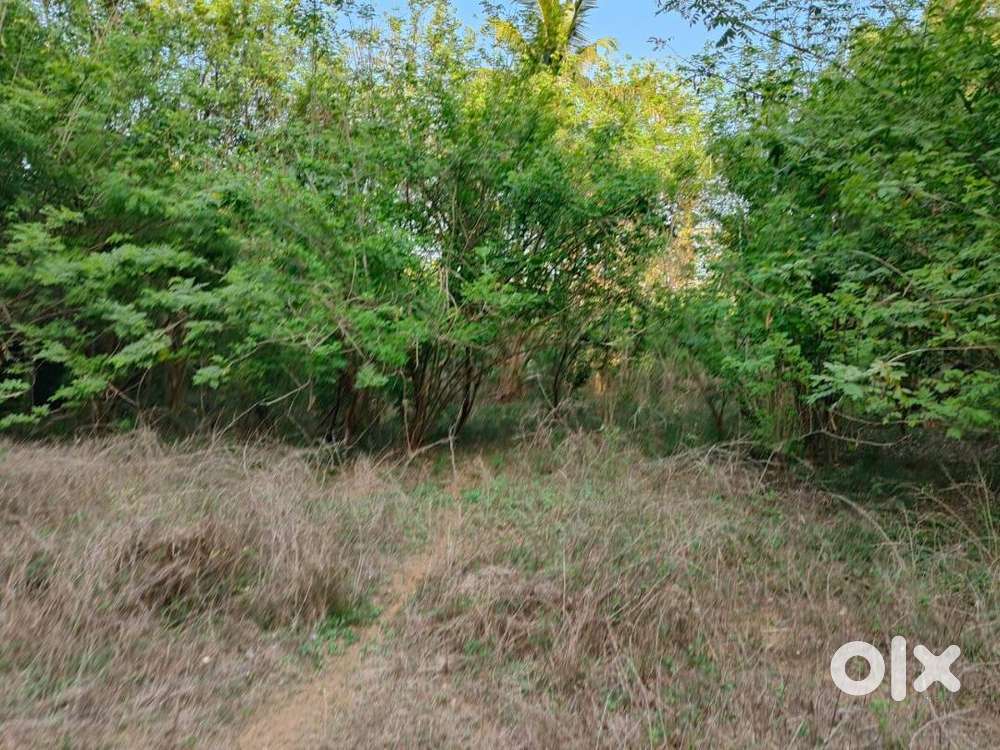 38cents 3.5L agriculture land for sale in budnar paniyadi road, udupi