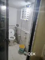 Need female room partner