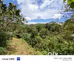 1 Acre Land with Resort for Sale in Vagamon – 2 km from Town
