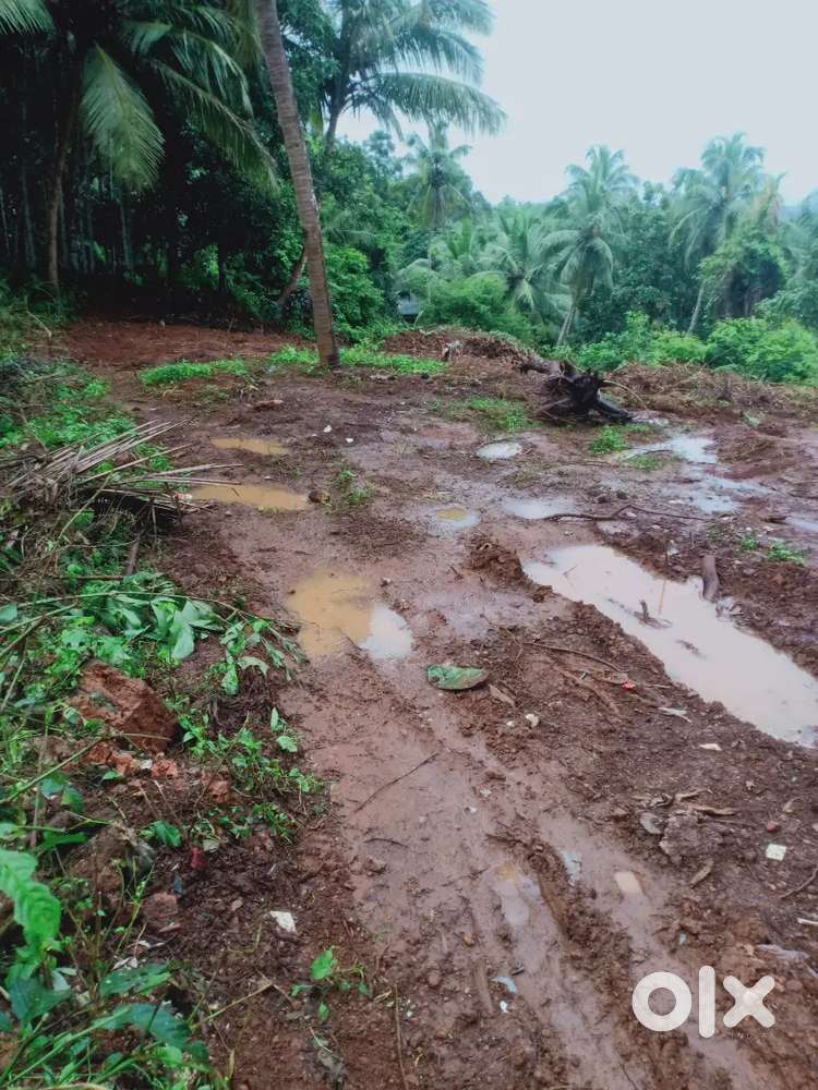 Good പ്രോപ്പർട്ടി square പ്രോപ്പർട്ടി വളരെ അടുത്ത വേങ്ങര ടൌൺ